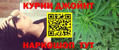 сатива Будённовск