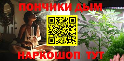 сатива Будённовск