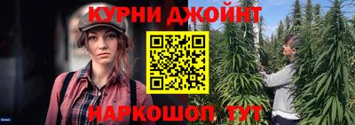 сатива Будённовск