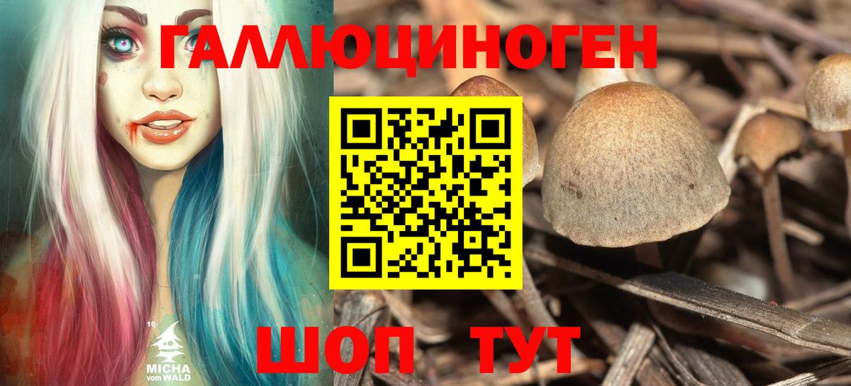 Куйбышев  Галлюциногенные грибы MAGIC MUSHROOMS  Псилоцибиновые грибы ЛСД  Вход с VPN 